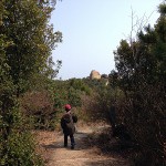 IMG_0095