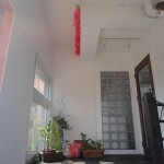 DSC03101