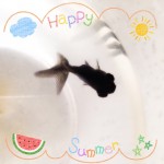 デメキンちゃん！