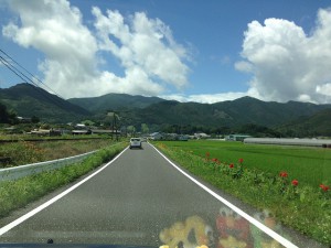 Ｍさま邸に向かう途中です。眩しいくらいのお天気ですが、気持ちのいい風景でした♪