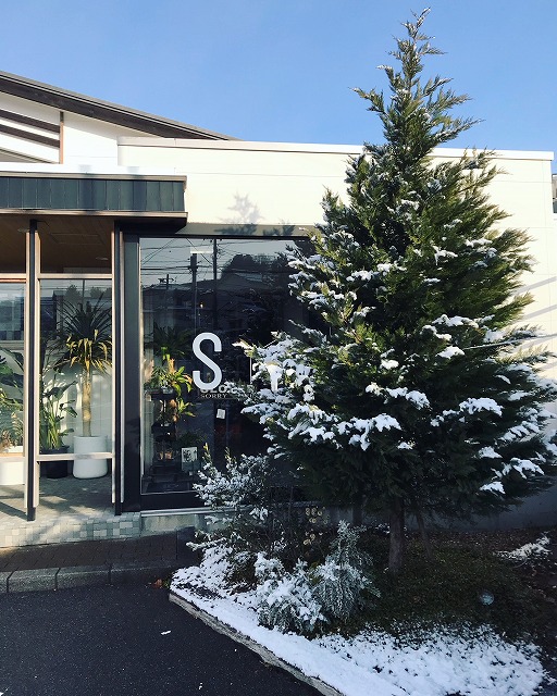 シンボルツリーもみの木の雪化粧に感動 約12年ぶり1 積雪の高知市 高知の新築 注文住宅 自然素材の家