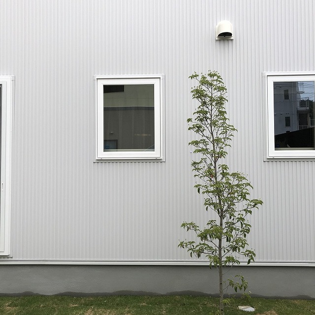 高知市福井町にあるオーダーメイドハウス専門店。自然素材を使用し人にも環境にも良いお家づくりをしています。