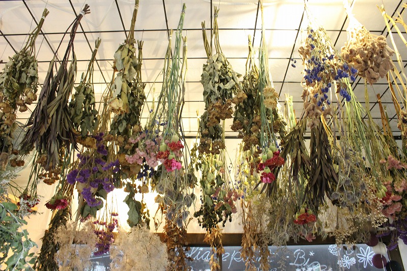 高知市一宮にあるオシャレな植物店 くくあ さんへ行ってきました 高知の新築 注文住宅 自然素材の家 高知市一宮にあるオシャレな植物店 くくあ さんへ行ってきました 高知の新築 注文住宅 自然素材の家