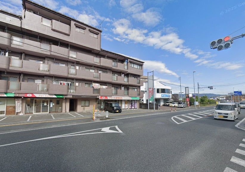 アミール動物病院